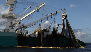 Le Parlement européen adopte mon rapport sur l&rsquo;Accord de Pêche UE-Seychelles