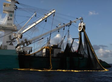 Mobilisation – Non à la réintroduction de subventions néfastes dans la pêche