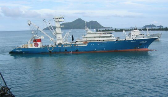 Caroline Roose désignée rapportrice sur l’accord de partenariat pour la pêche durable UE-Seychelles