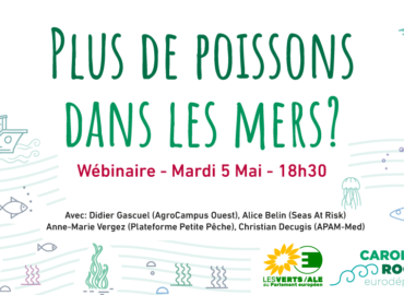 Wébinaire « Plus de Poissons dans les mers »