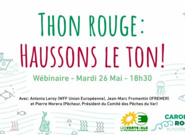 Webinaire – Thon rouge : Haussons le ton!
