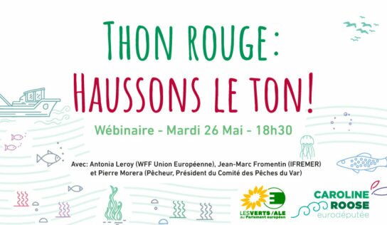 Webinaire – Thon rouge : Haussons le ton!
