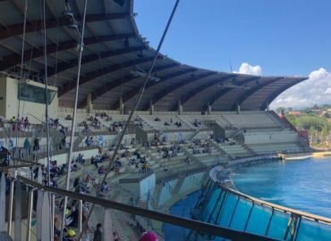 Le Marineland d’Antibes : un enfer sur terre pour les cétacés