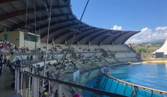 Le Marineland d’Antibes : un enfer sur terre pour les cétacés