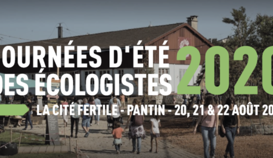 Journées d’été : les Verts font leur rentrée!