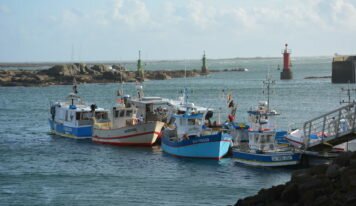 À la rencontre de pêcheurs normands et bretons, à 3 mois du Brexit