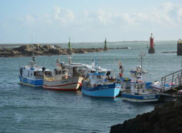 À la rencontre de pêcheurs normands et bretons, à 3 mois du Brexit