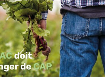 Politique agricole commune : une réforme mauvaise pour les paysans, les animaux et l’environnement.