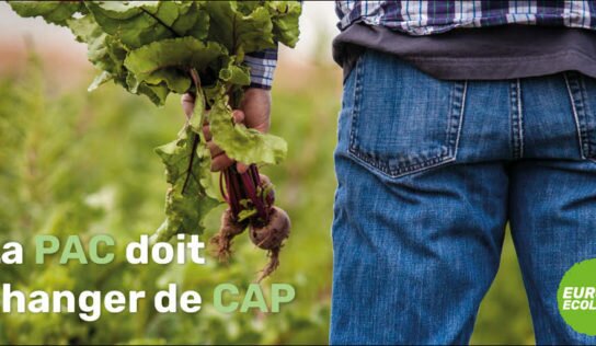 Politique agricole commune : une réforme mauvaise pour les paysans, les animaux et l’environnement.