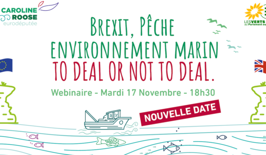 [NOUVELLE DATE webinaire] Brexit, pêche et environnement&nbsp;: to deal or not to deal.