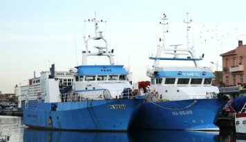Thon rouge : le gouvernement français agit contre les petits pêcheurs