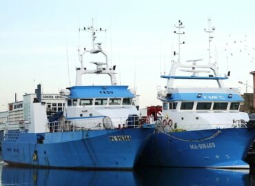 Thon rouge : le gouvernement français agit contre les petits pêcheurs