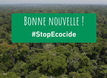 La commission du développement adopte mon rapport sur la responsabilité des entreprises pour dommages environnementaux