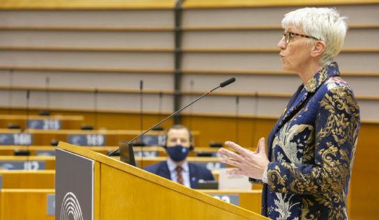 Rapport Roose: le Parlement européen demande une plus forte protection des océans !