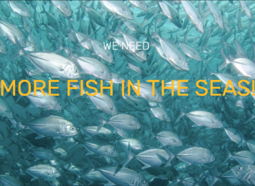 Nous avons besoin de plus de poissons dans les mers !