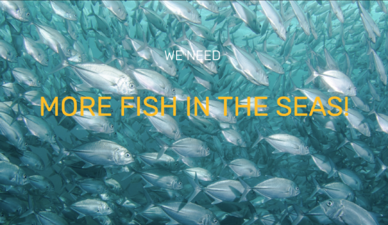 Nous avons besoin de plus de poissons dans les mers !