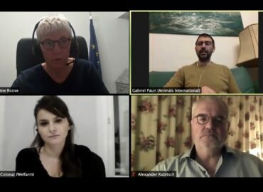 (Replay) conférence sur le transport des animaux du 5 janvier, en 2021 agissons !