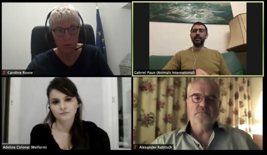 (Replay) conférence sur le transport des animaux du 5 janvier, en 2021 agissons !