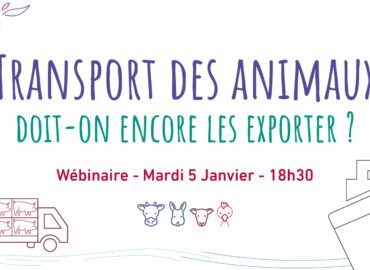 Webinaire – « Transport des animaux : doit-on encore les exporter ? »