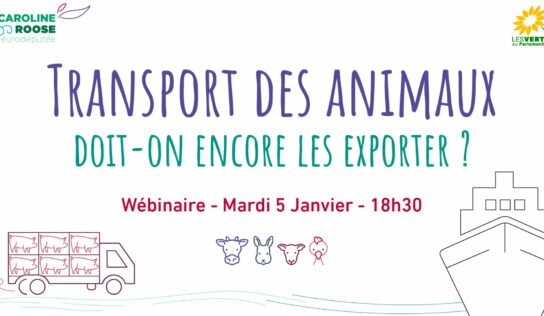 Webinaire – « Transport des animaux : doit-on encore les exporter ? »