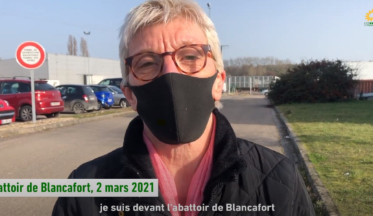 Transport des dindes : A l’abattoir de Blancafort avec L214 (Vidéo)