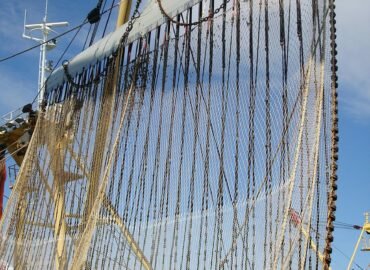 Pêche électrique, arrêt du juge européen « un soulagement pour les océans et nos pêcheurs »