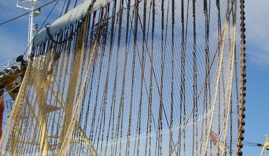 Pêche électrique, arrêt du juge européen « un soulagement pour les océans et nos pêcheurs »