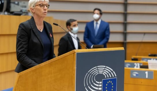 Démission de l’Alliance écologiste indépendante et Cap Écologie