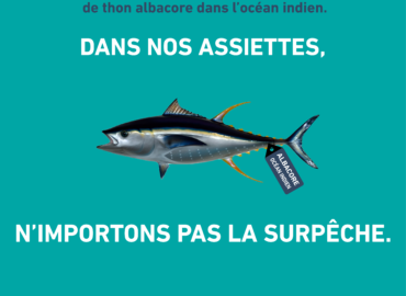 Journée mondiale du thon : l’albacore en danger dans l’Océan Indien