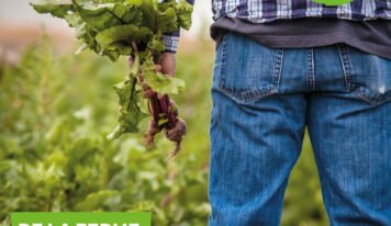 Une nouvelle stratégie alimentaire européenne qui va dans le bon sens