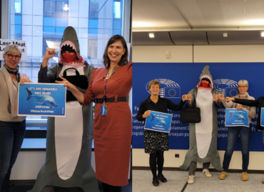 Bonne nouvelle! Les requins makos bénéficient d’un sursis jusqu’en 2024