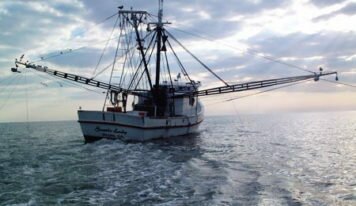 Accord de pêche UE-Gabon : préoccupant pour les écosystèmes marins et les communautés côtières