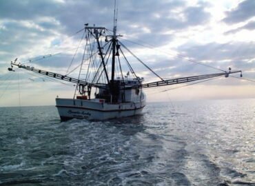 Accord de pêche UE-Gabon : préoccupant pour les écosystèmes marins et les communautés côtières