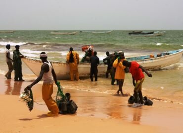 Accord de Pêche UE-Mauritanie: il faut stopper la surpêche liée à la production des farines de poissons !