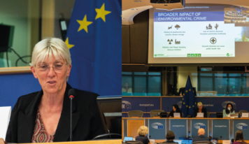 Révision de la directive sur la criminalité environnementale: écocides et crimes environnementaux dans les pays en développement