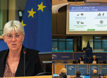 Révision de la directive sur la criminalité environnementale: écocides et crimes environnementaux dans les pays en développement