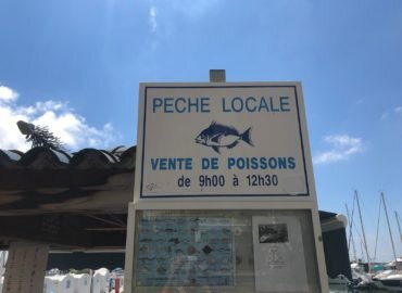 Méga ferme aquacole au large de Golfe Juan ? c’est NON !