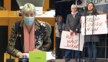 La commission du développement se prononce en faveur de la reconnaissance du crime d’écocide dans l’UE et adopte mon rapport sur la directive criminalité environnementale !