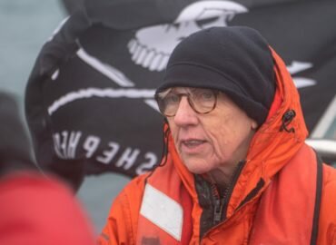 Hécatombe de dauphins : le Conseil d’État doit presser le gouvernement français d’agir !