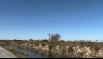 Protégeons le Parc naturel régional de Camargue !