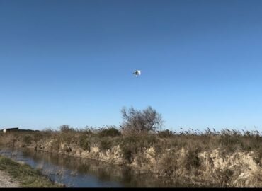 Protégeons le Parc naturel régional de Camargue !