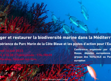 Évènement : Protéger et restaurer la biodiversité marine dans la Méditerranée: l’exemple du Parc Marin de la Côte Bleue