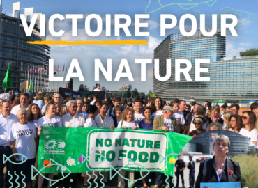 Loi sur la Restauration de la nature : La tentative de blocage de la droite échoue grâce à notre mobilisation !