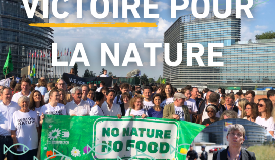 Loi sur la Restauration de la nature : La tentative de blocage de la droite échoue grâce à notre mobilisation !