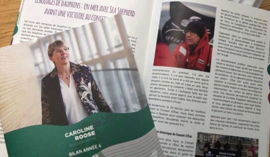 Bilan de ma quatrième année au Parlement européen