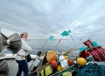Stoppons les projets de méga usines aquacoles
