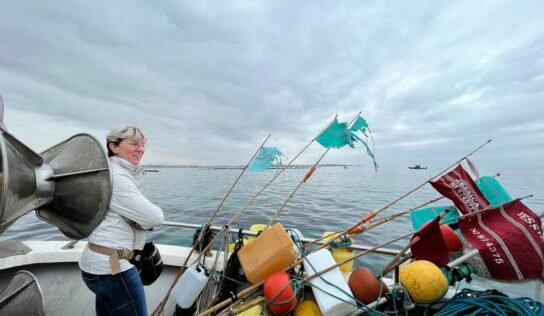 Stoppons les projets de méga usines aquacoles