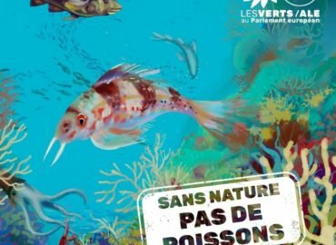 Plan d’action de l’UE pour les écosystèmes marins: la droite européenne et ses alliés enterrent une occasion de protéger les océans et d’entamer une transition dans la pêche