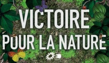 Victoire : Le Parlement européen adopte le texte final de la Loi sur la Restauration de la Nature !