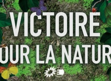 Victoire : Le Parlement européen adopte le texte final de la Loi sur la Restauration de la Nature !